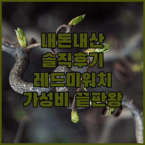 내 돈 주고 산 레드미 워치 5 라이