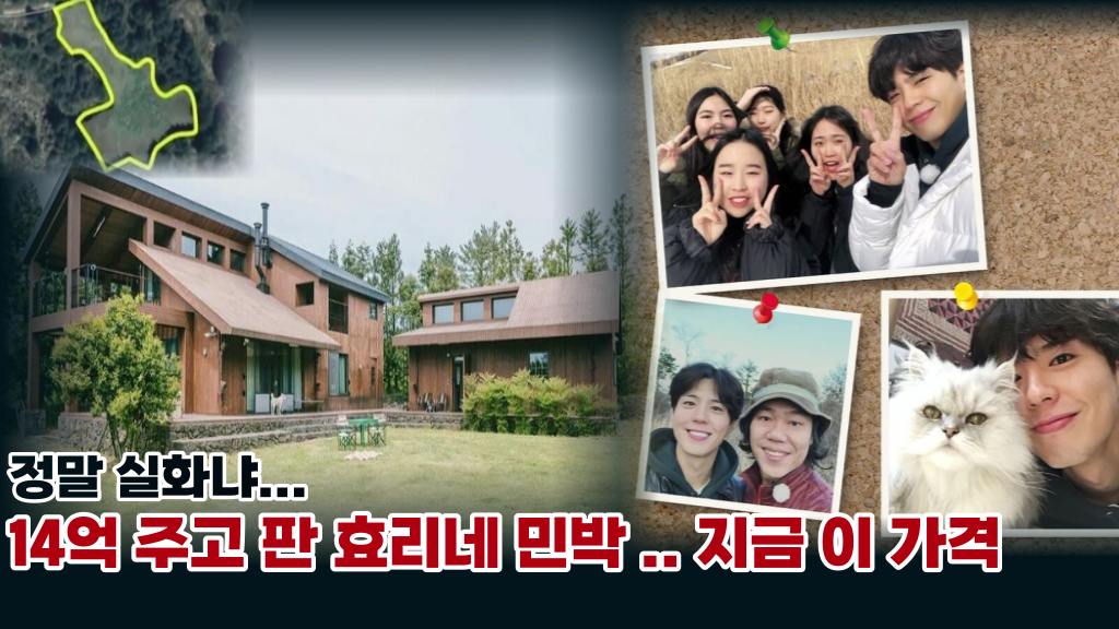  '정말 가격이 ...ㅎㄷㄷ' 14억을 받고 방송국에 판 효리네 민박... 지금 이가격 실화냐?