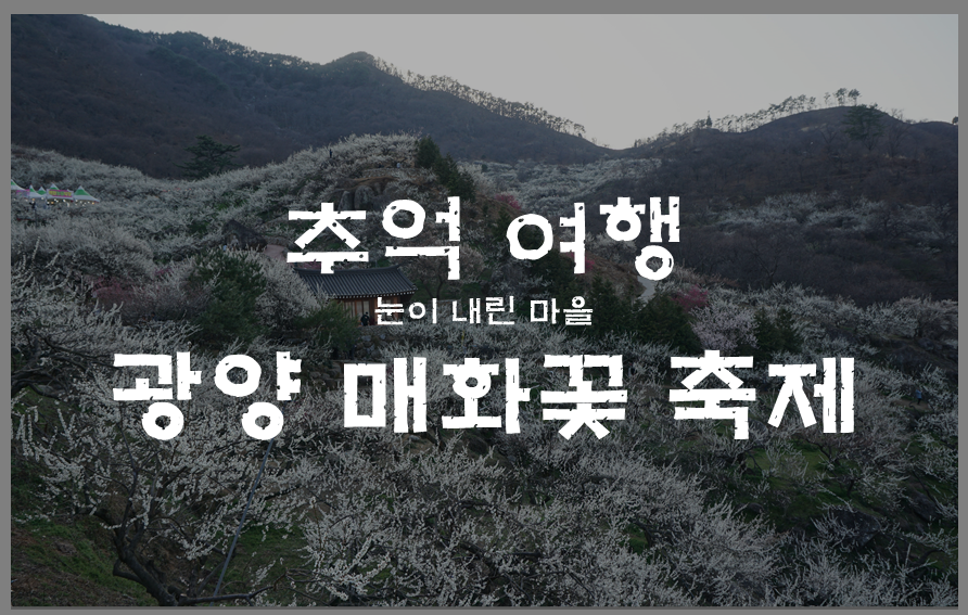  지금쯤 우리는 광양 매화축제에 함께 하고 있을까...? 홍매화, 매화 보고싶은 날