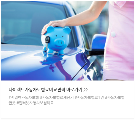 BMW자동차보험료