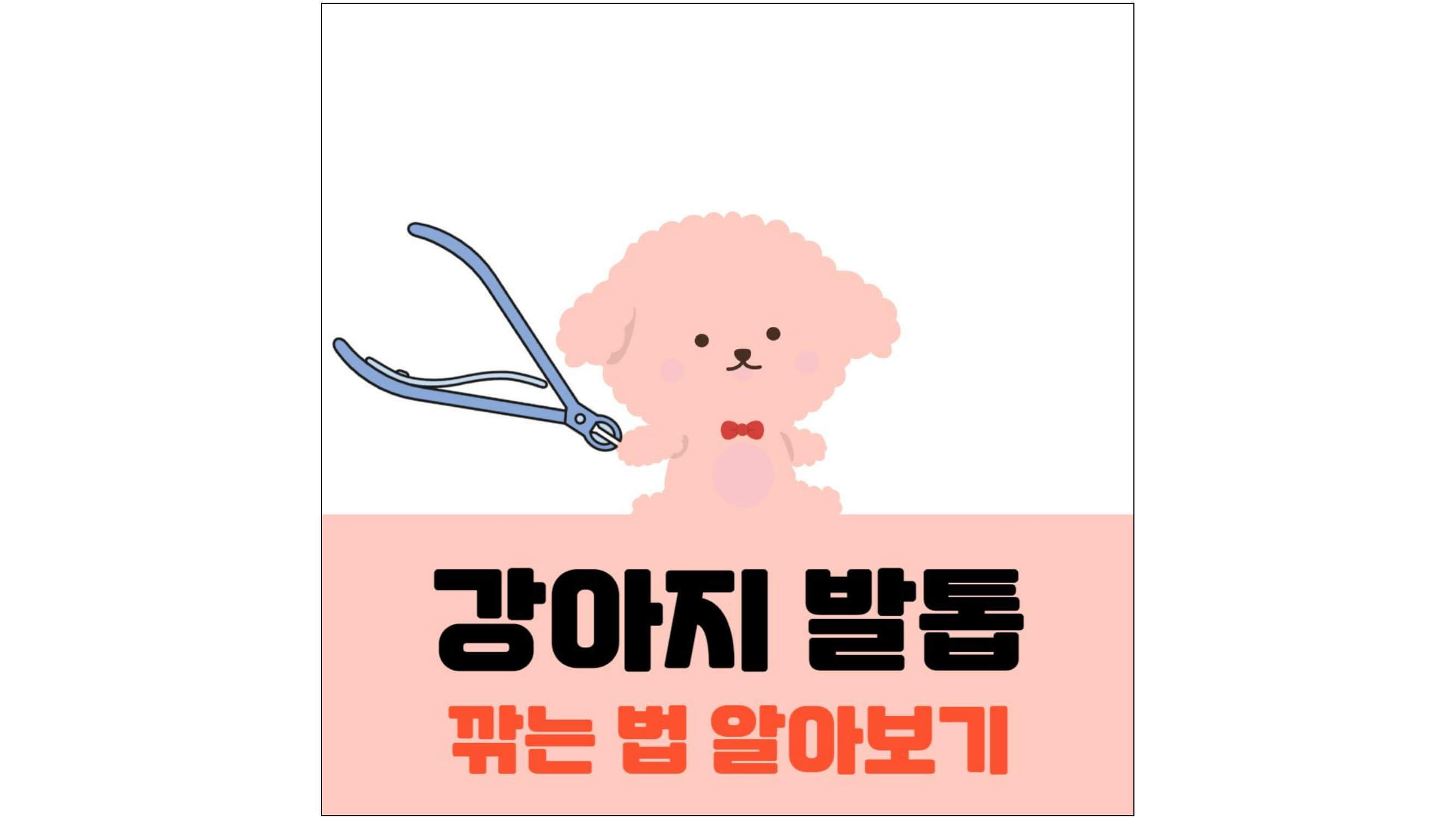 발톱-깎이를-강아지-발에-대고-있는-그림과-강아지-발톱-깎는-법-알아보기-글씨가-적혀-있는-표지