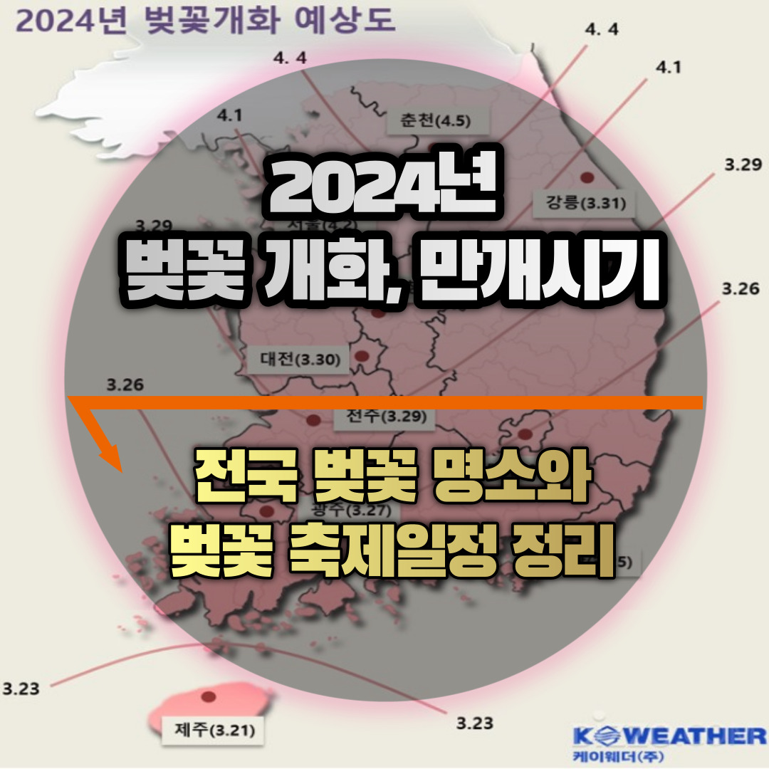 벚꽃 개화 및 만개&#44; 축제일정