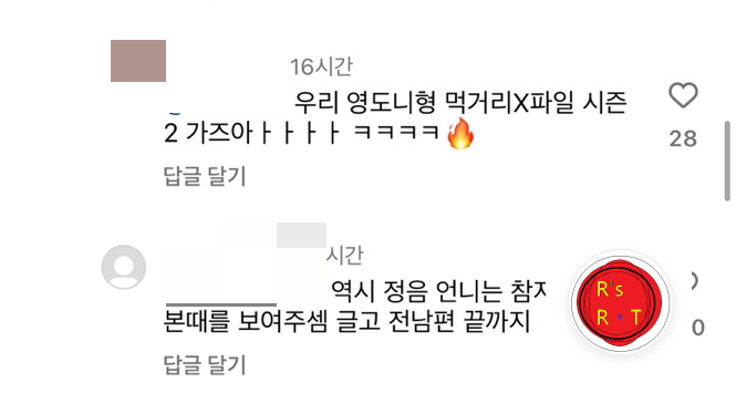 황정음_인스타_댓글_사진출처_황정음_인스타그램_캡쳐