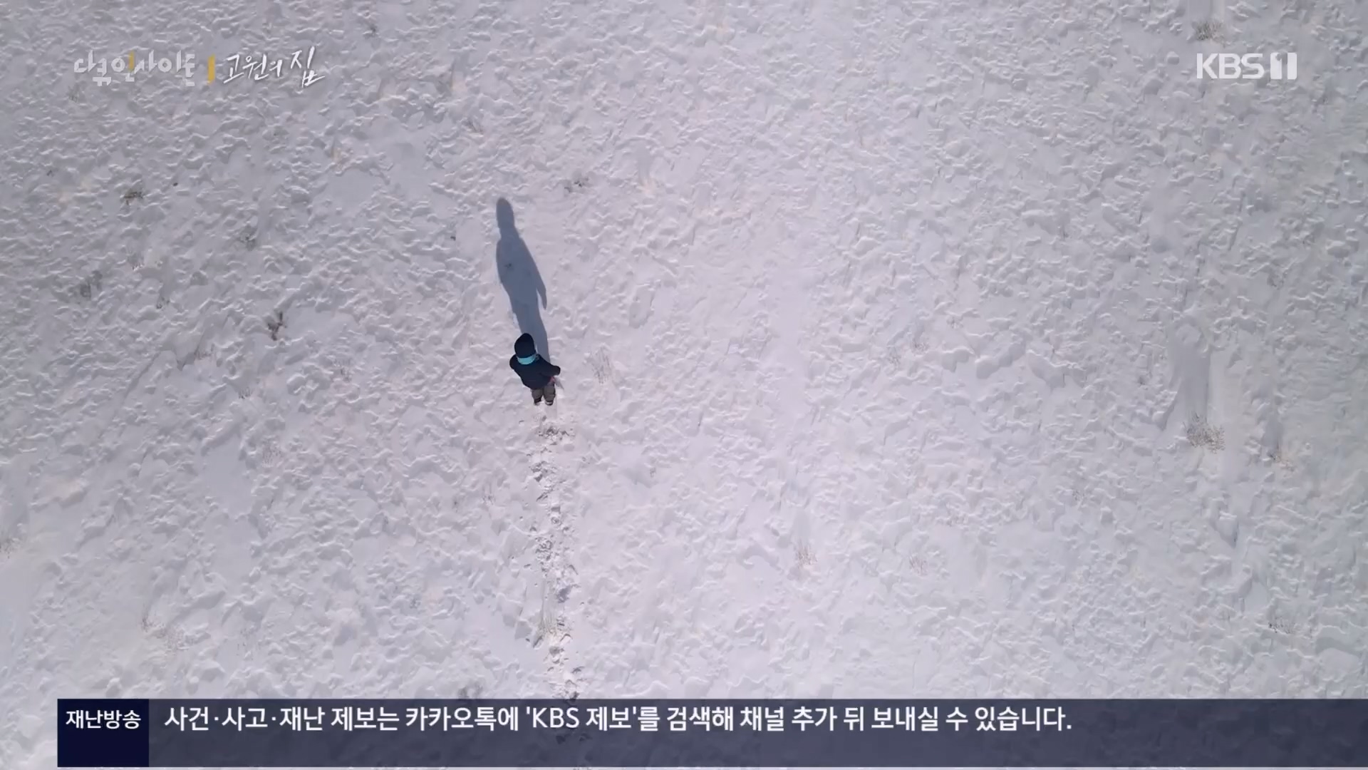 다큐 인사이트.E176.240328p.H264-F1RST.mp4_20240330_162909.104.jpg