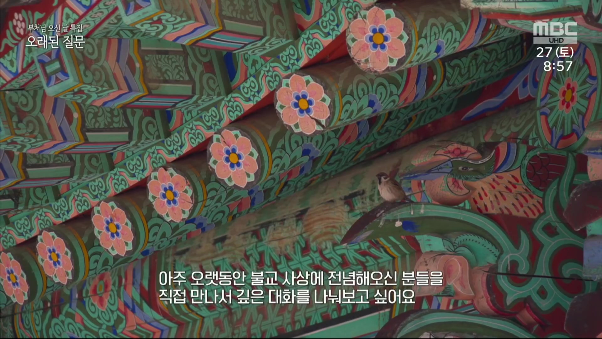 부처님 오신 날 특집 오래된 질문.230527p.H264-F1RST.mp4_20230527_171844.991.jpg