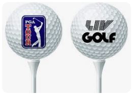골프 PGA LIV
