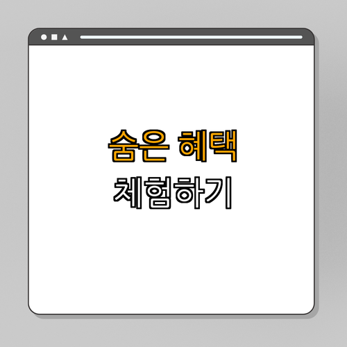 3. 지역 축제의 숨은 혜택