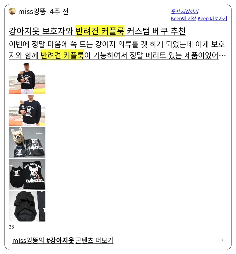 반려견 커플룩_1_subsection