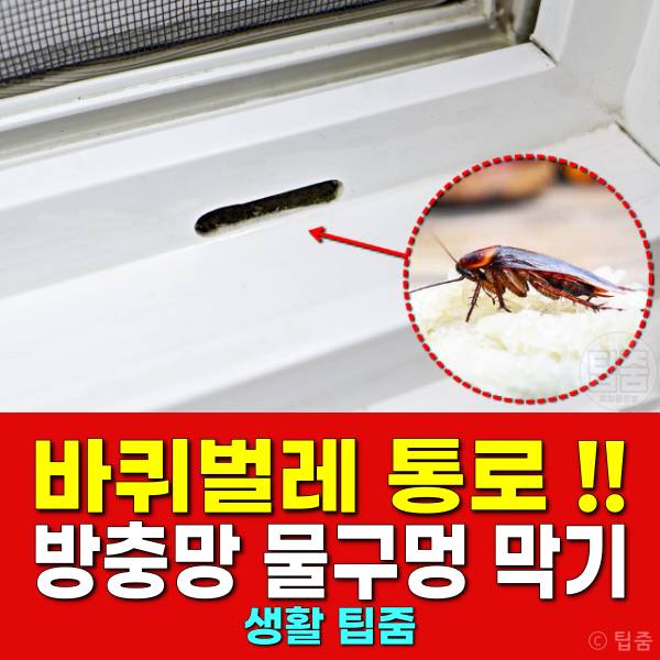 바퀴벌레 통로 방충망 물구멍 막는법
