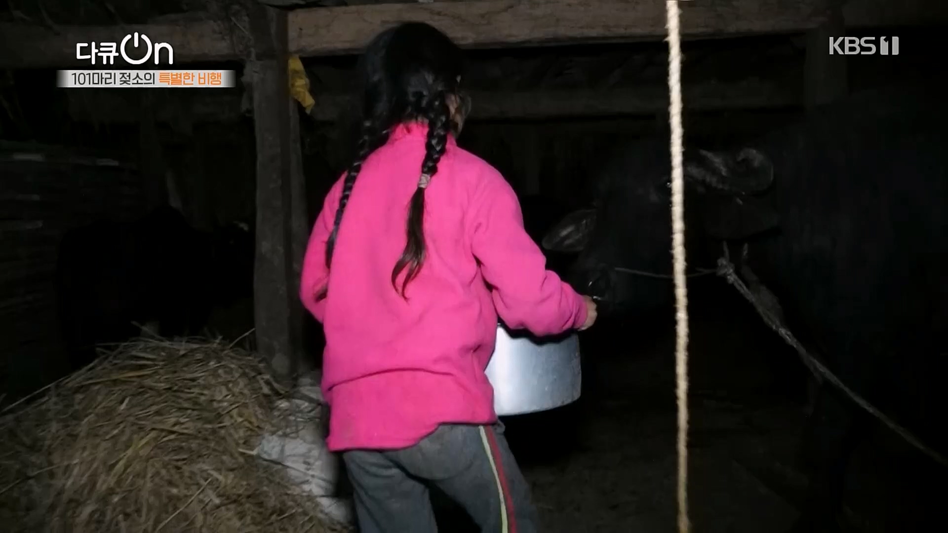 다큐 On.E184.230203p.H264-F1RST.mp4_20230211_175643.115.jpg