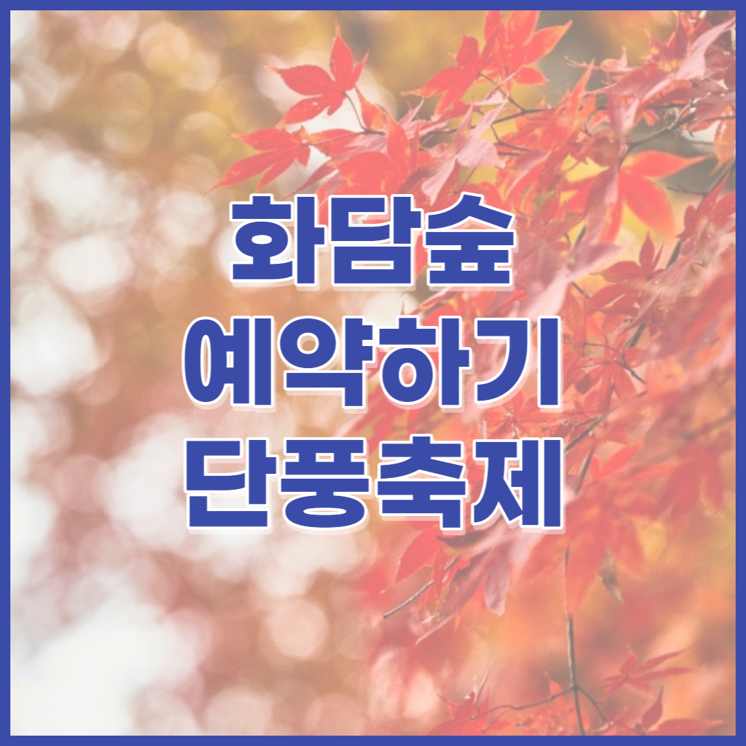 화담숲-예약하기-모노레일-예약하기-가을단풍축제