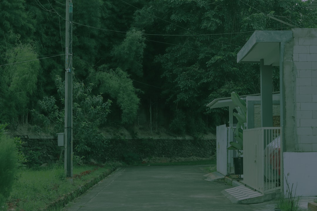 Naritasan