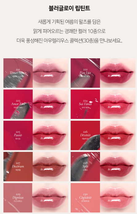 딘토립컬러