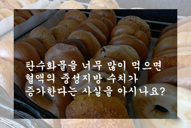  탄수화물을 너무 많이 먹으면 혈액의 중성지방 수치가 증가한다는 사실을 아시나요?