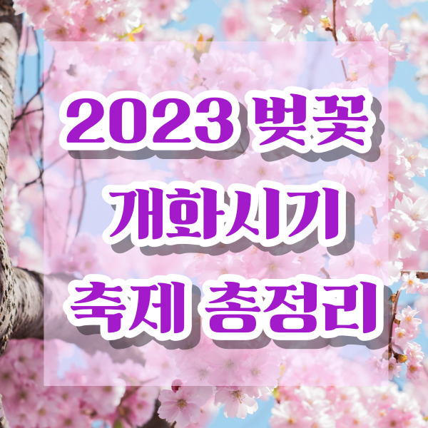 2023 벚꽂 개화시기 축제 총정리