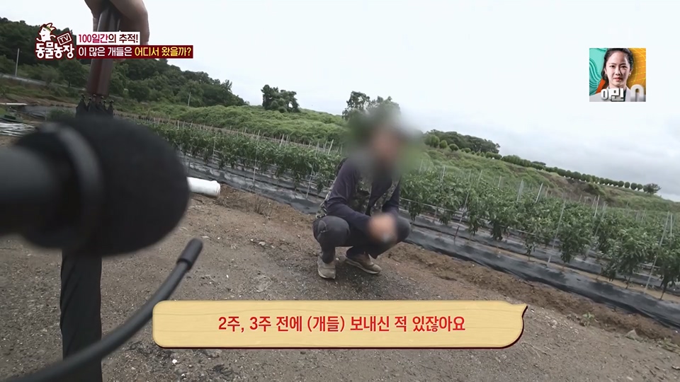 TV 동물농장.E1129.230716p.H264-F1RST.mp4_20230716_183642.449.jpg