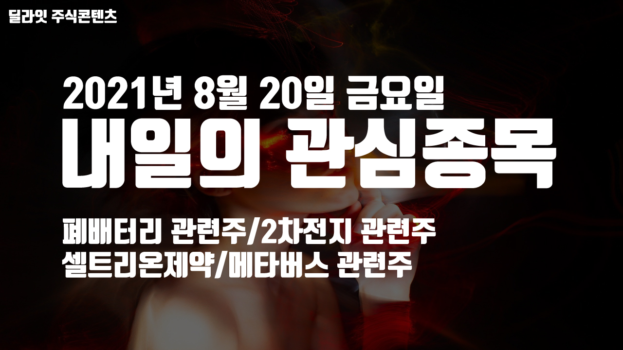  메타버스 관련주 - 2021년 8월 20일 내일의 관심종목