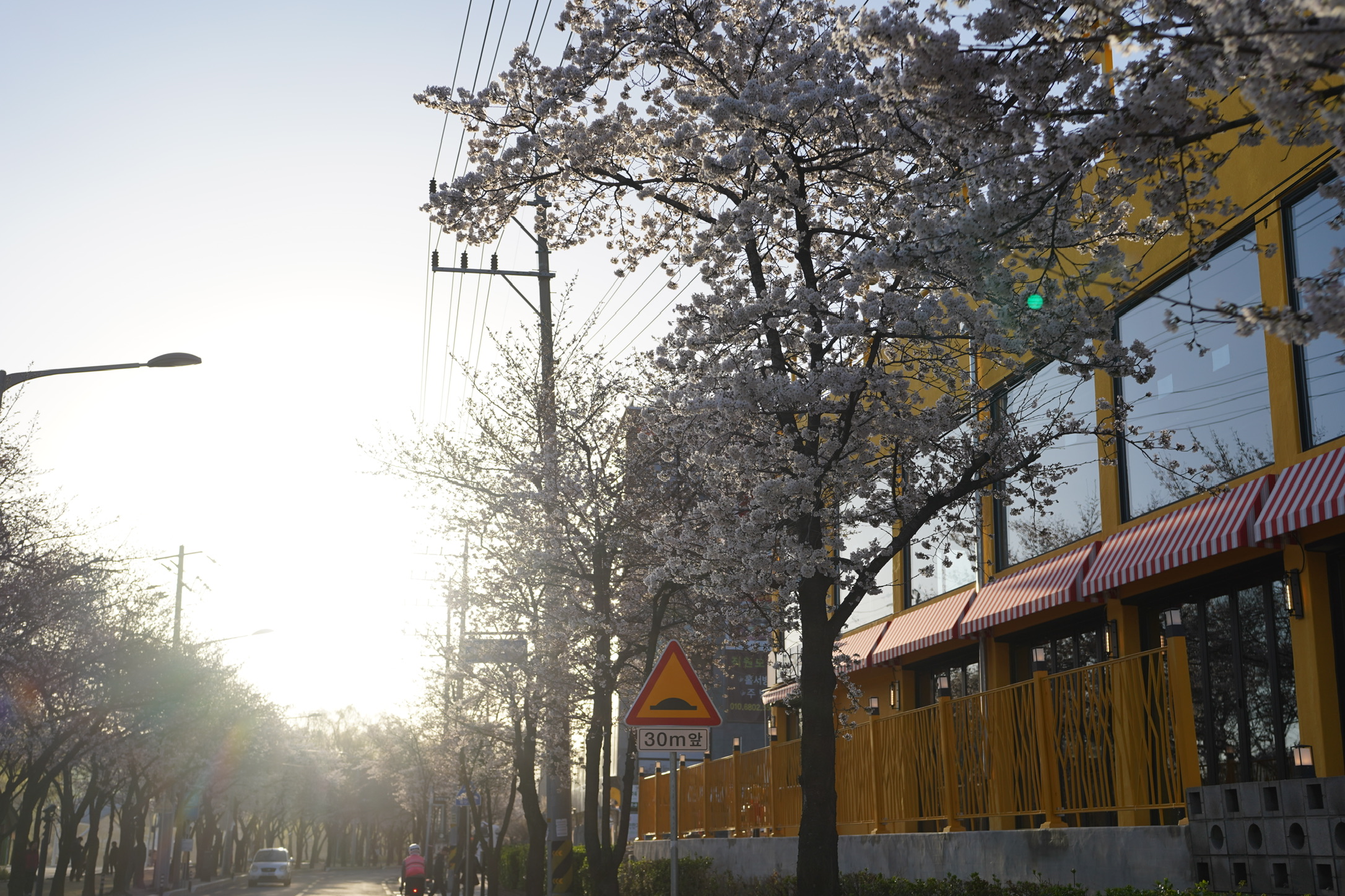 img.jpg