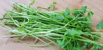 미나리의 11가지 효능과 부작용 및 보관법과 세척법