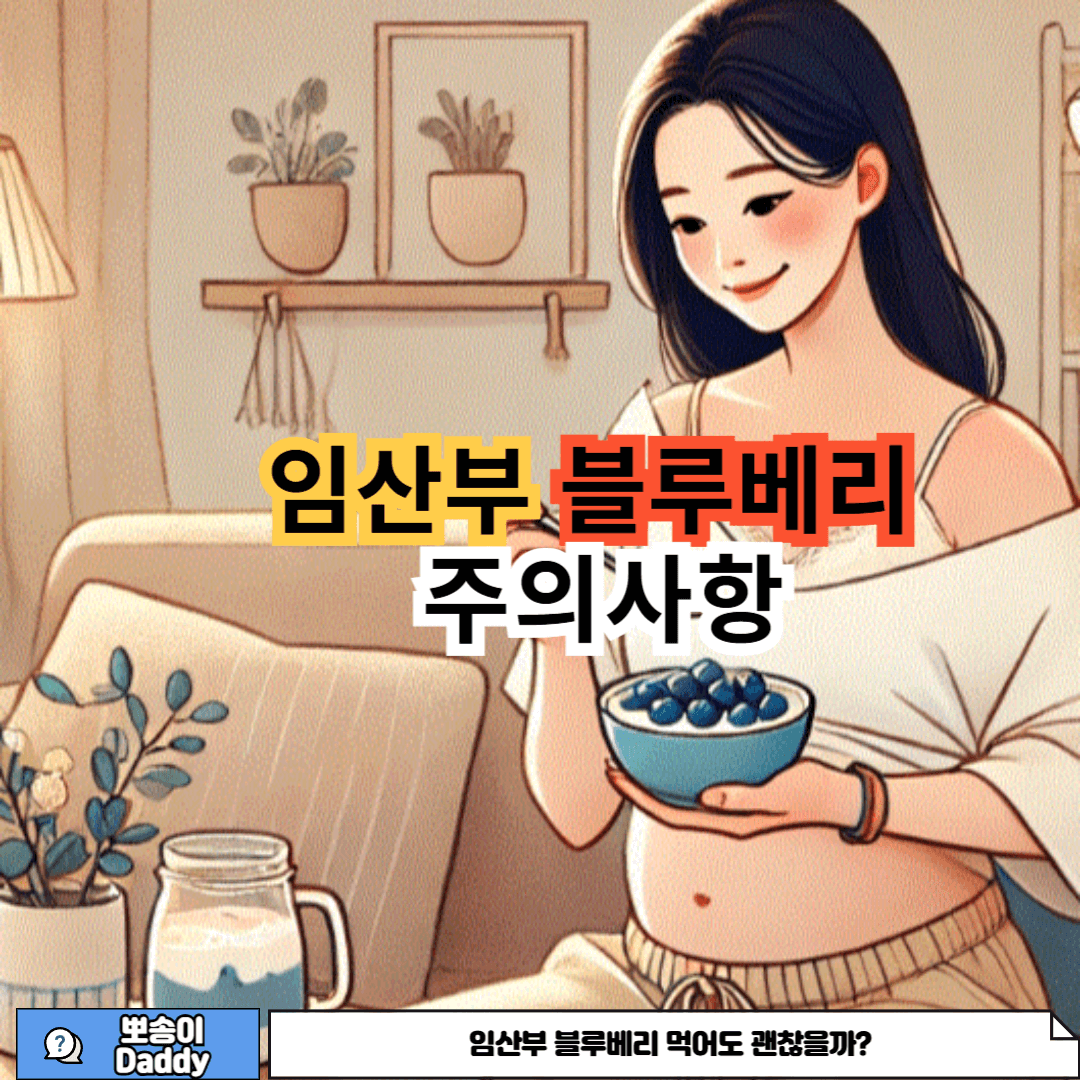 임산부 블루베리 섭취 시 주의사항에 대한 사진