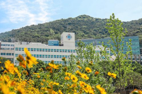 3탄)동아대 영상, 디자인학과는 어떨까? [수시/정시 평균등급 입결]