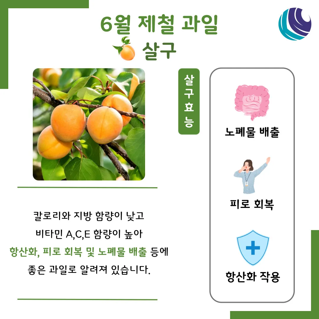 6월 제철 과일 추천 여름 과일 종류_6