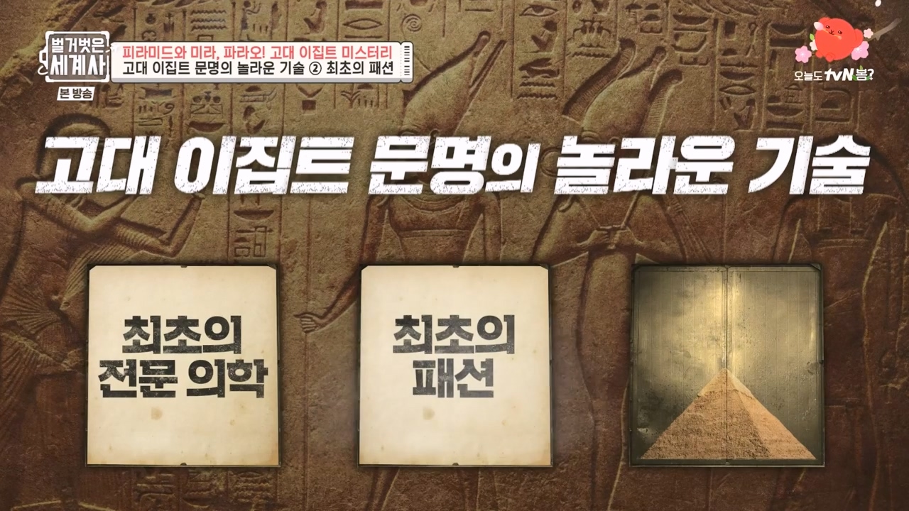 벌거벗은 세계사.E91.230322p-NEXT.mp4_20230422_182351.341.jpg