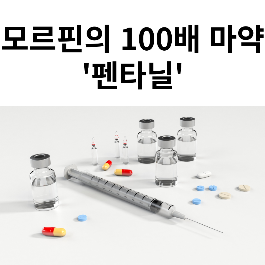 펜타닐 중독의 심각성