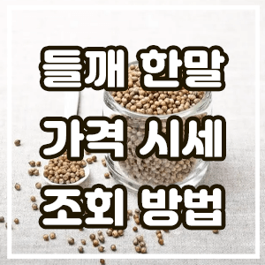 대표섬네일