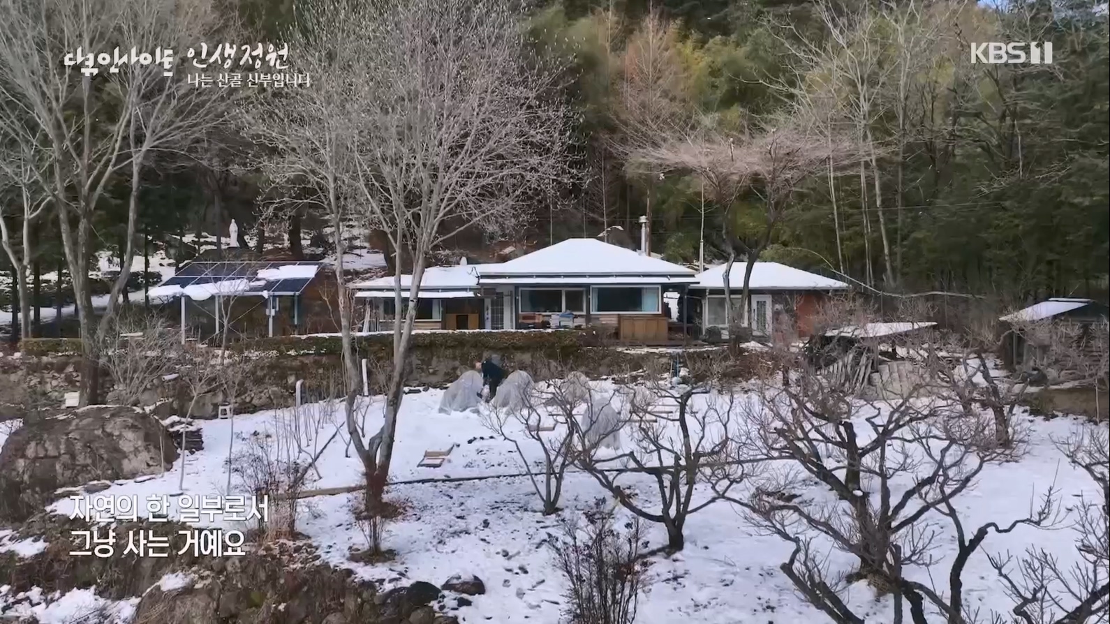 다큐 인사이트.E153.230608p.H264-F1RST.mp4_20230612_204029.254.jpg