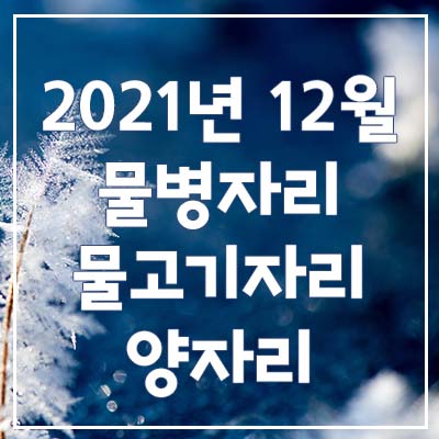  (물병자리, 물고기자리, 양자리) 2021년 12월 은하별의 별자리 운세