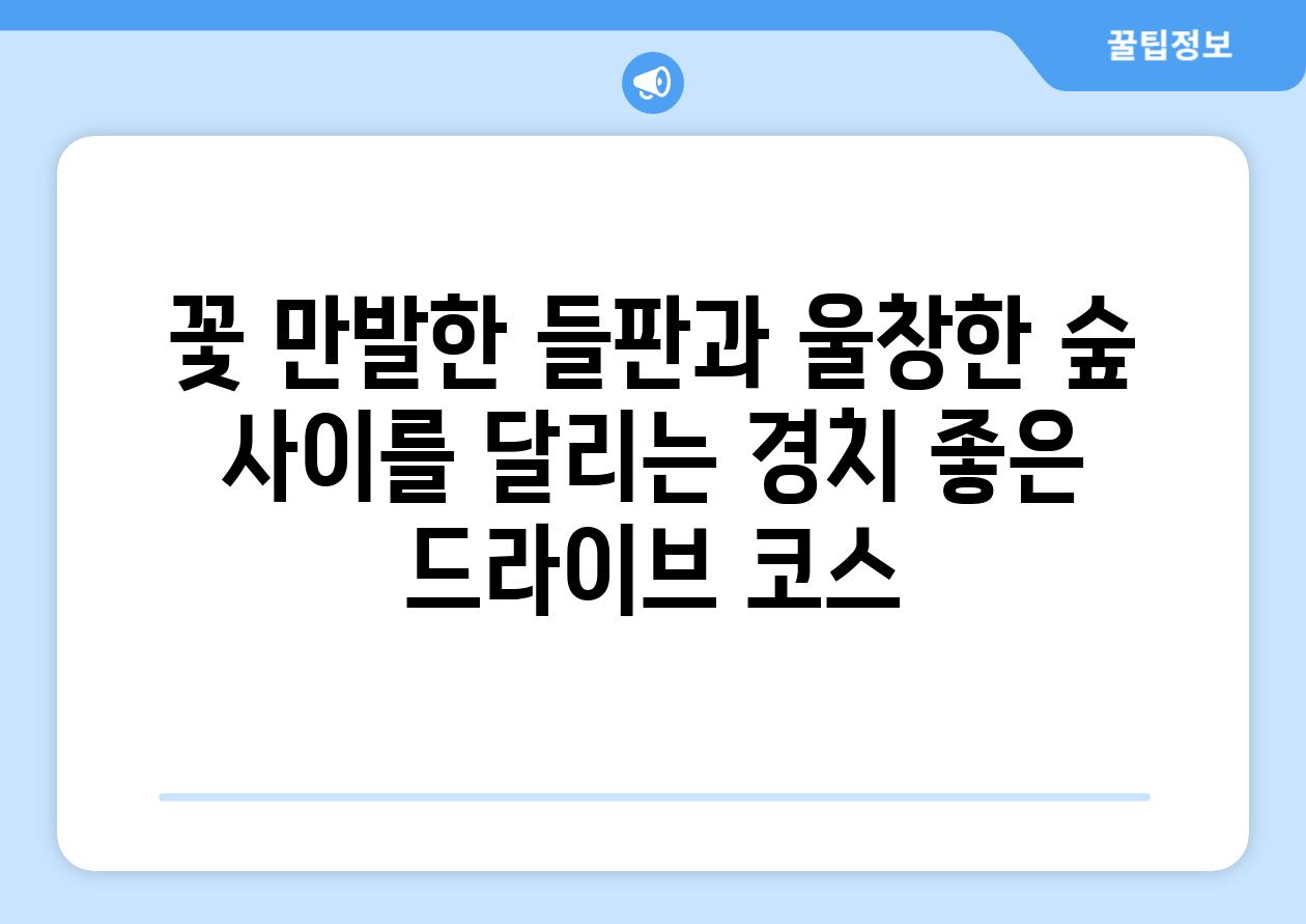 꽃 만발한 들판과 울창한 숲 사이를 달리는 경치 좋은 드라이브 코스