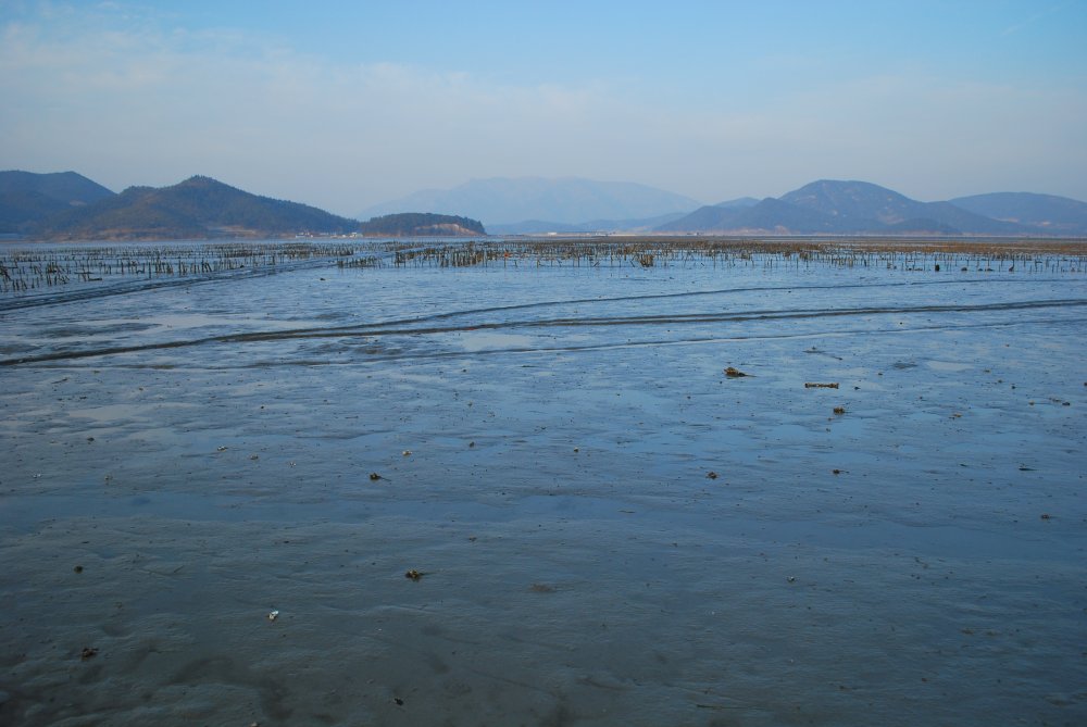 장흥군 대덕읍 옹암마을
