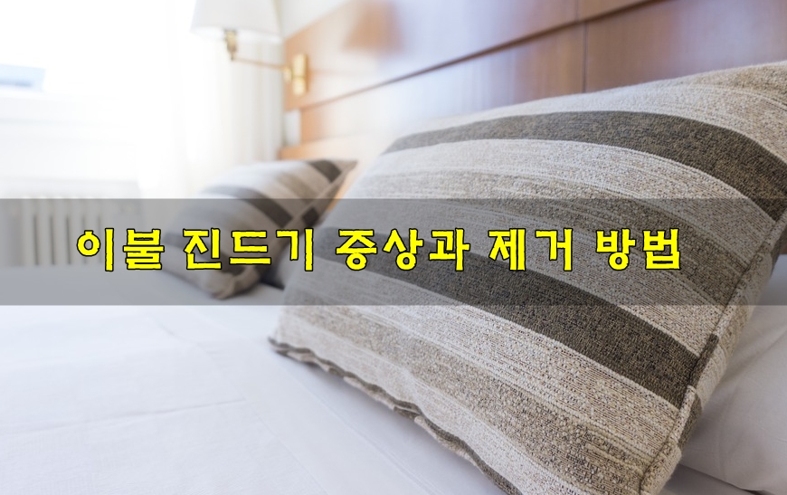  이불 진드기 증상과 이불 진드기 제거 방법