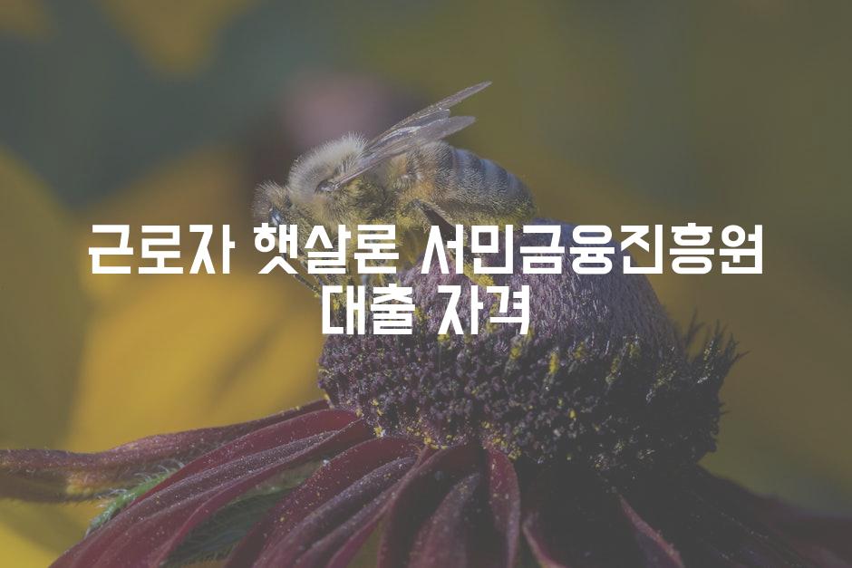 API 할당량 초과 오류 5