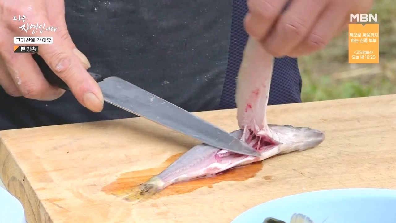 나는 자연인이다.E575.231012p-NEXT.mp4_20231012_201007.890.jpg