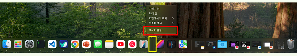 MacOS Dock 설정 열기.
