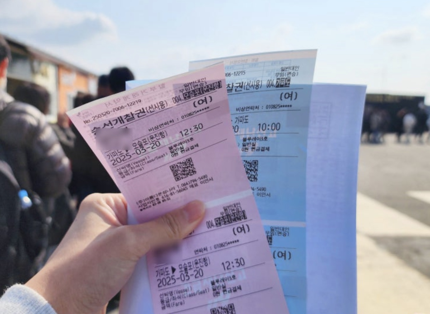 유채꽃과 청보리가 아름다운 가파도 여행