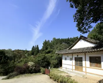 천리포수목원 목련축제_16