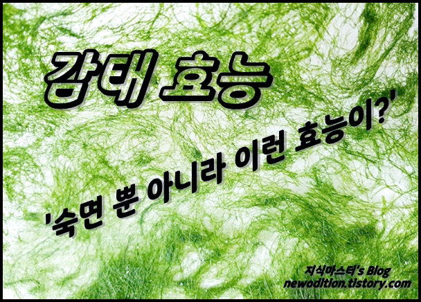  감태 효능 - 숙면 효과 뿐 아니라 이런 효능도?