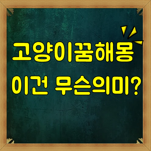  새끼고양이꿈해몽 무슨 의미일까? 소름돋는 상황별 꿈해몽