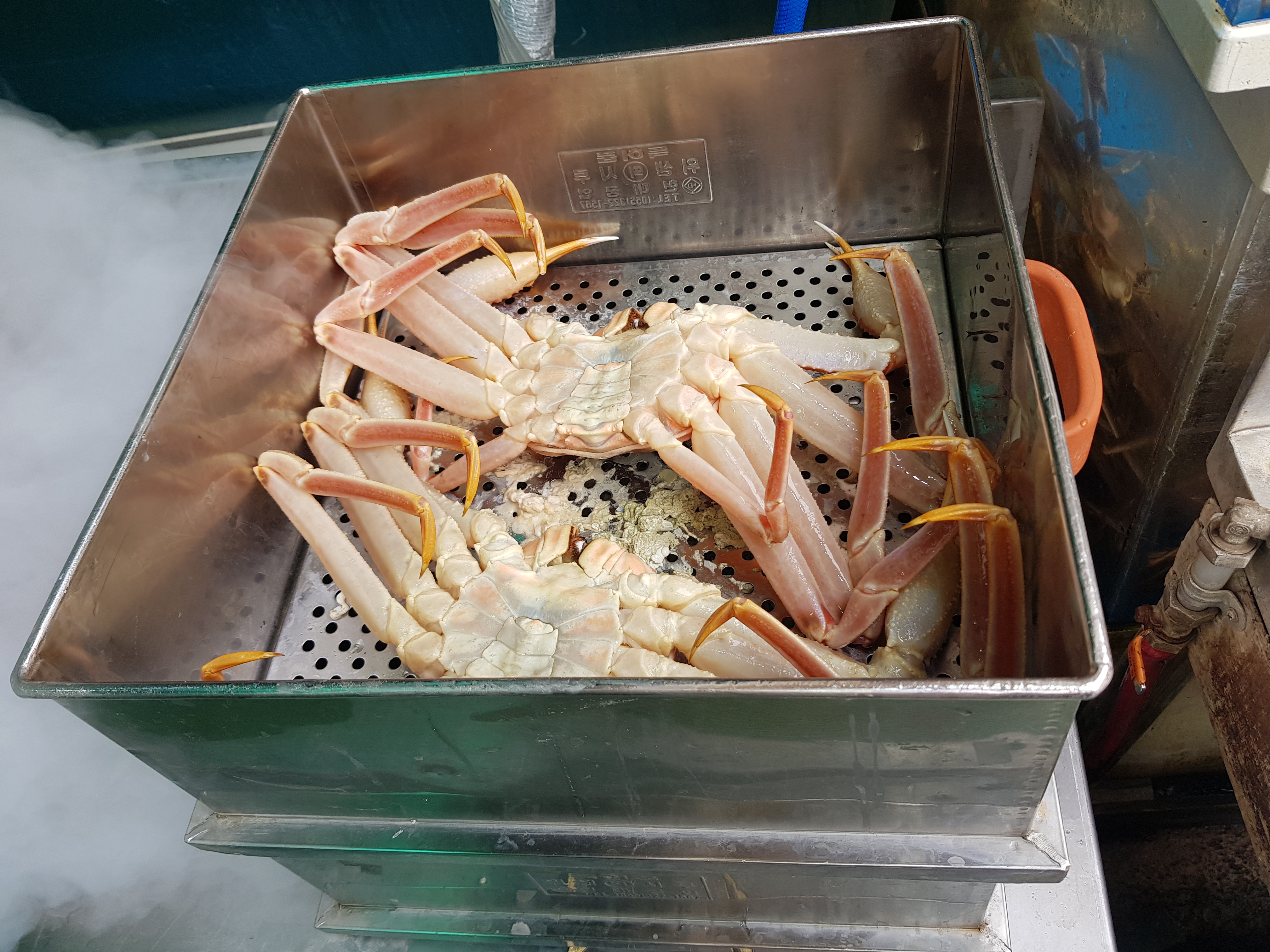 기장시장청해대게 이미지