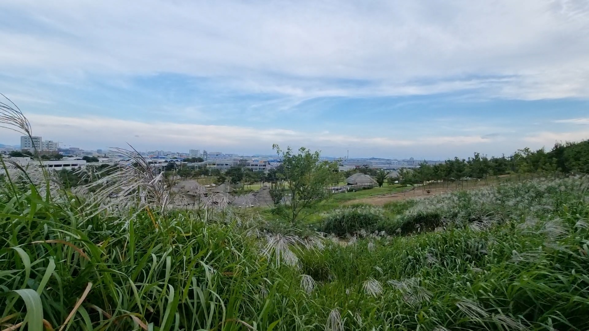 오이도 선사유적 공원 카페