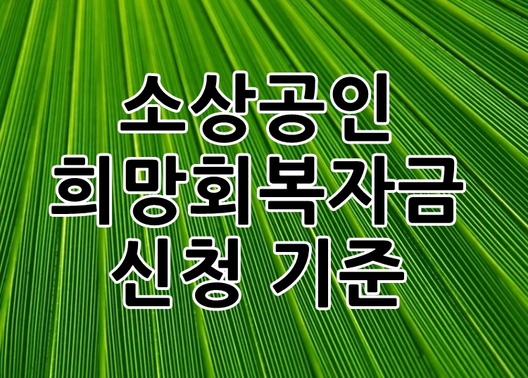  소상공인 희망회복자금 신청 대상 및 기준 총정리