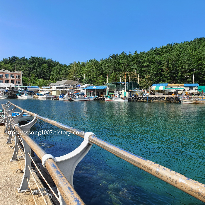 백도 항구