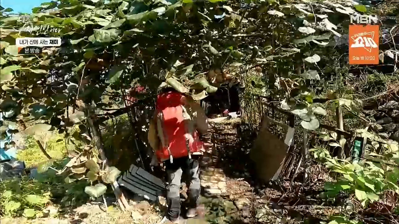 나는 자연인이다.E529.221124p.H264-F1RST.mp4_20221124_194715.179.jpg