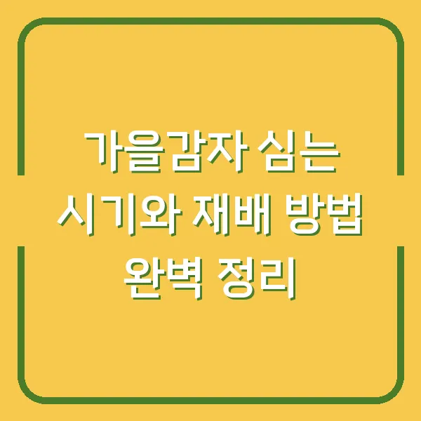 가을감자 심는 시기와 재배 방법 완벽 정리