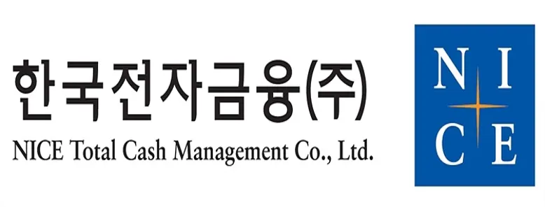 한국전자금융