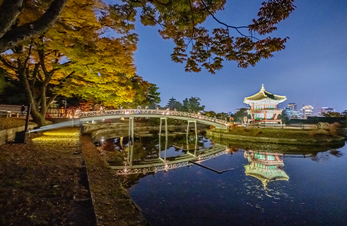 별빛야행