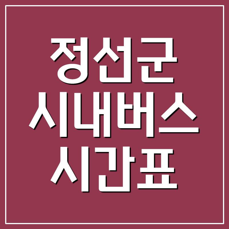  정선군 시내버스 시간표(와와버스)